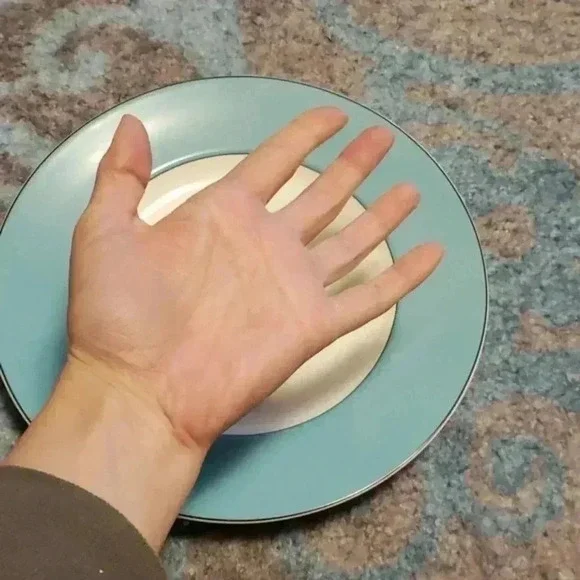 NWT TURQUOISE AQUA KATE SPADE PLATE - Picture 4 of 5